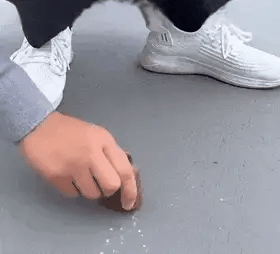EcoGuard Polyurethane Waterproof Sealant - ExploreMore Hub