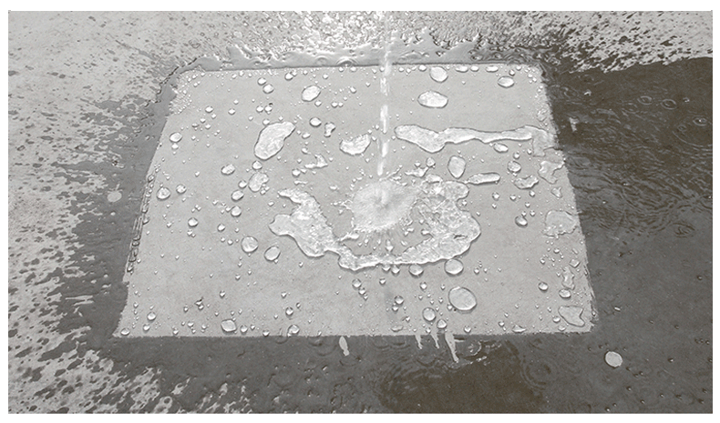 EcoGuard Polyurethane Waterproof Sealant - ExploreMore Hub