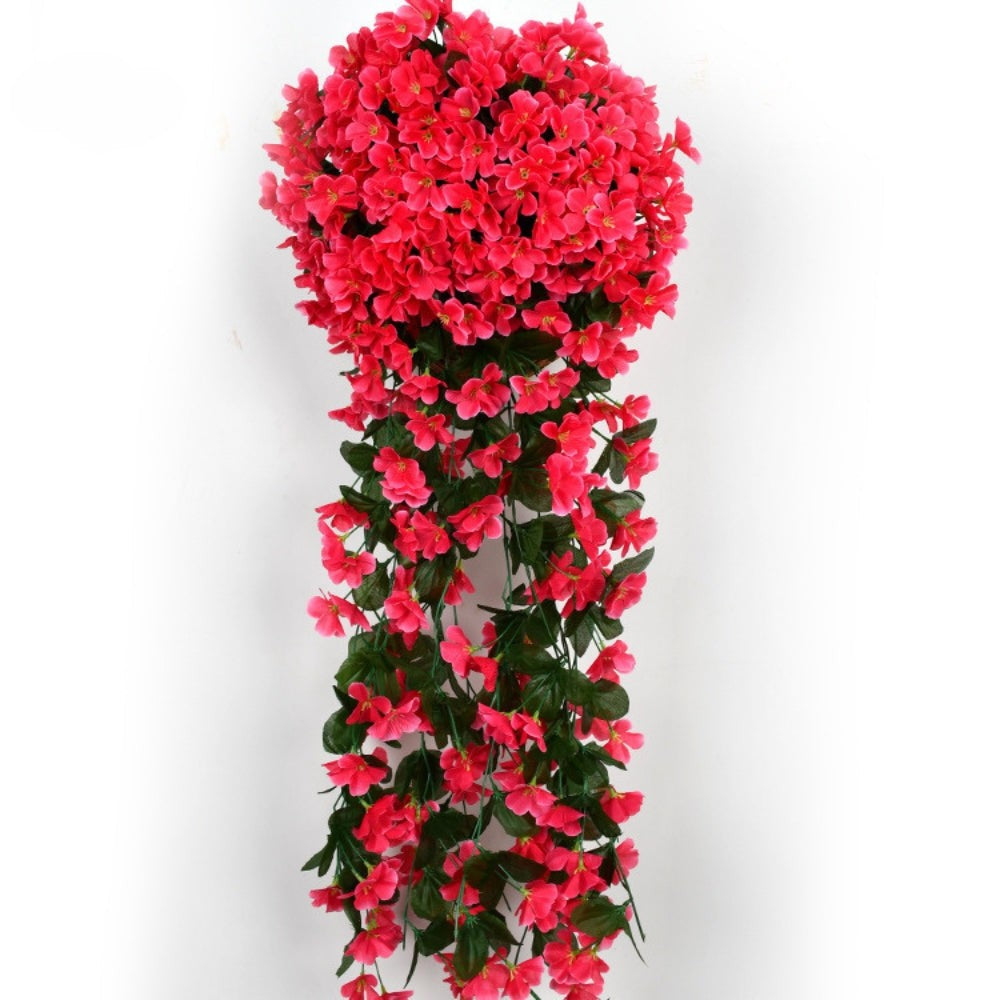 开花美容兰花