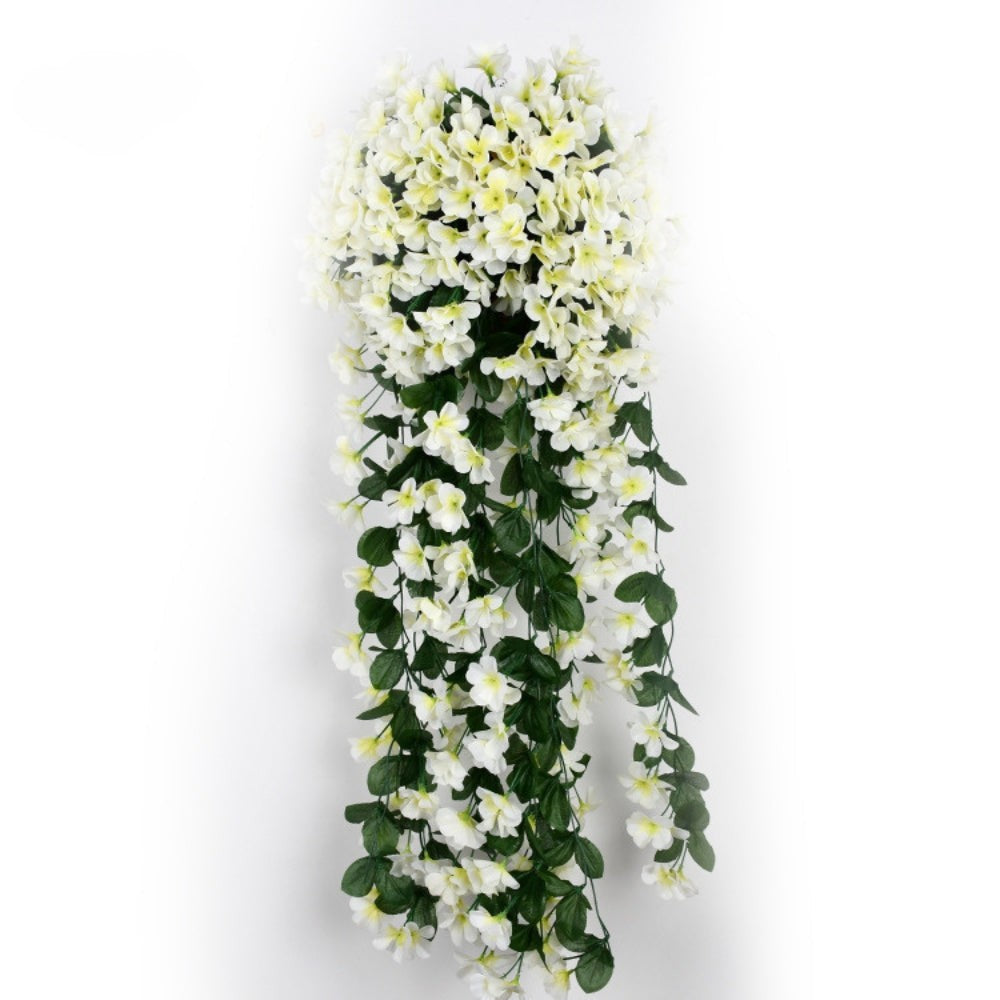 开花美容兰花