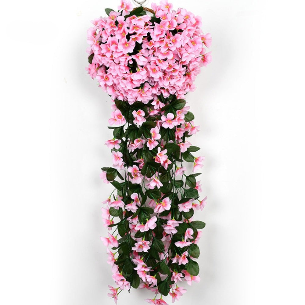 开花美容兰花