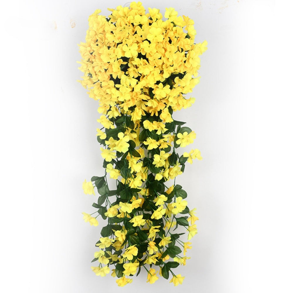 开花美容兰花