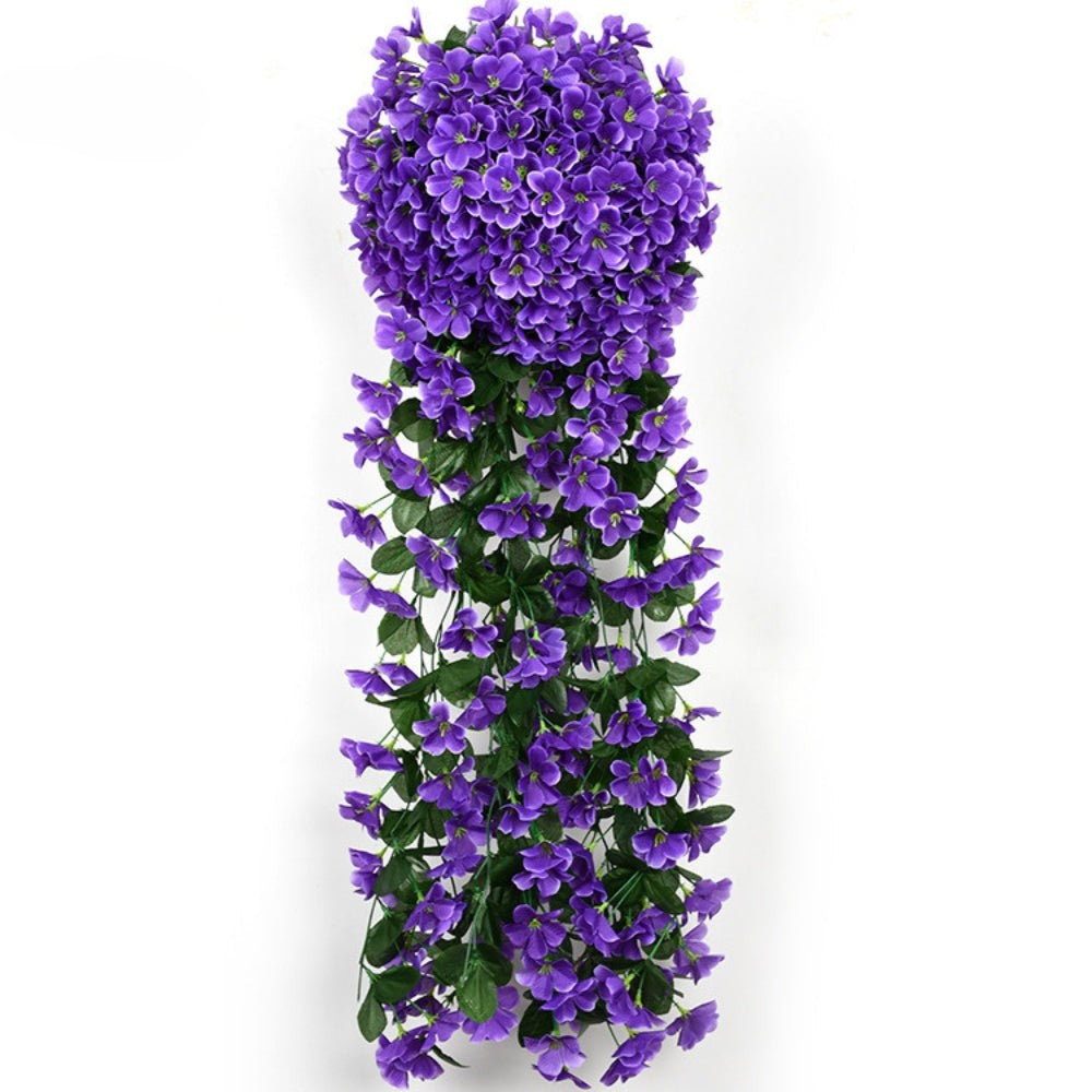 开花美容兰花