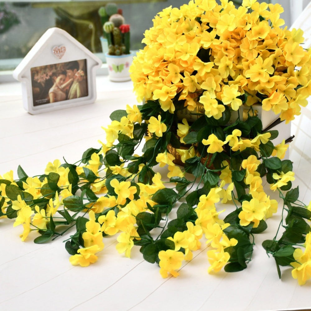 开花美容兰花